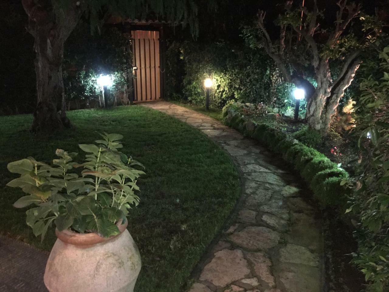 Villa Venere Near The Sea- 25 Minutes To S.Peter Ladispoli Εξωτερικό φωτογραφία