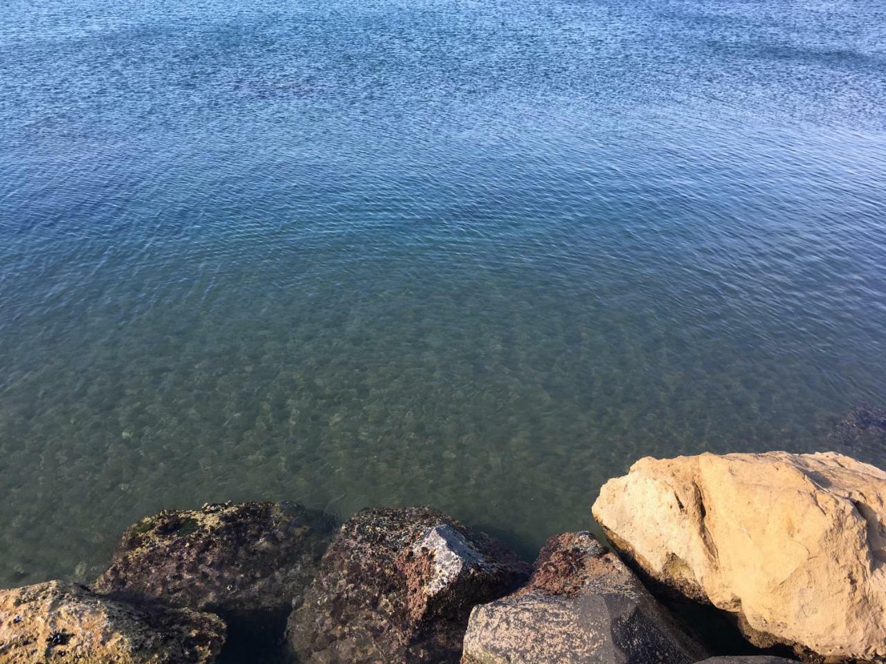 Villa Venere Near The Sea- 25 Minutes To S.Peter Ladispoli Εξωτερικό φωτογραφία
